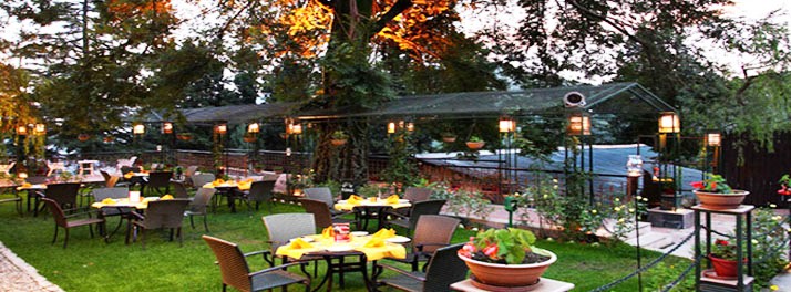 238/Shervani Hill Top - Nainital 05.jpg